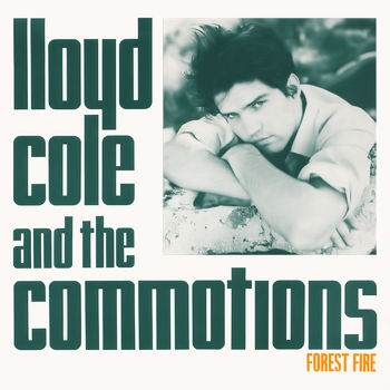 Lloyd Cole and The Commotions - Forest Fire Cover Artwork